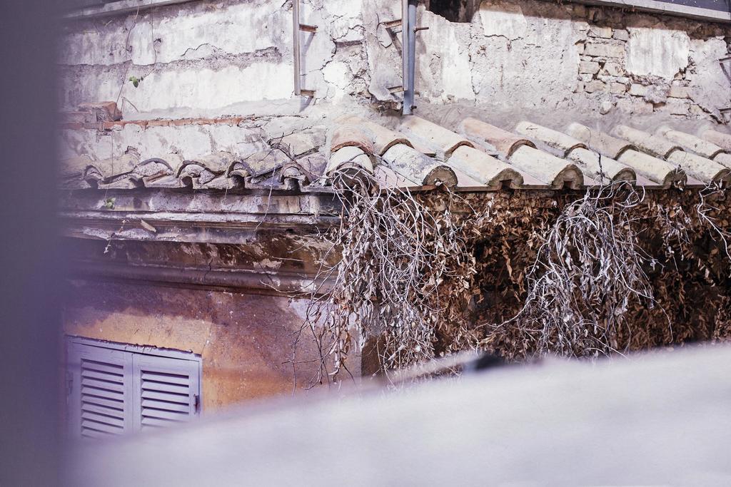 Peretti Rome Trastevere Home Esterno foto